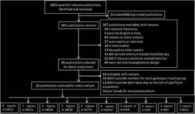 Genetic Polymorphisms and Platinum-Based Chemotherapy-Induced Toxicities in Patients With Lung Cancer: A Systematic Review and Meta-Analysis
